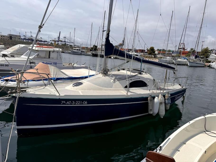 מלון Marine Dream ולנסיה מראה חיצוני תמונה